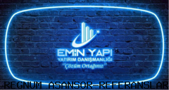 regnum asansör emin yapı asansör montajı