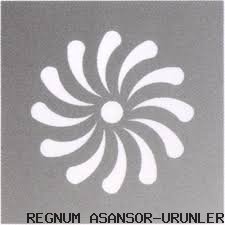 TAVAN MODELLERİ ( 24 )