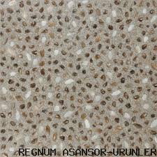 ZEMİN KAPLAMA (  6 )