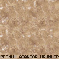 ZEMİN KAPLAMA ( 14 )