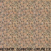 ZEMİN KAPLAMA ( 17 )